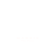 light logo